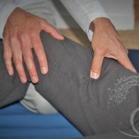 genou vita shiatsu